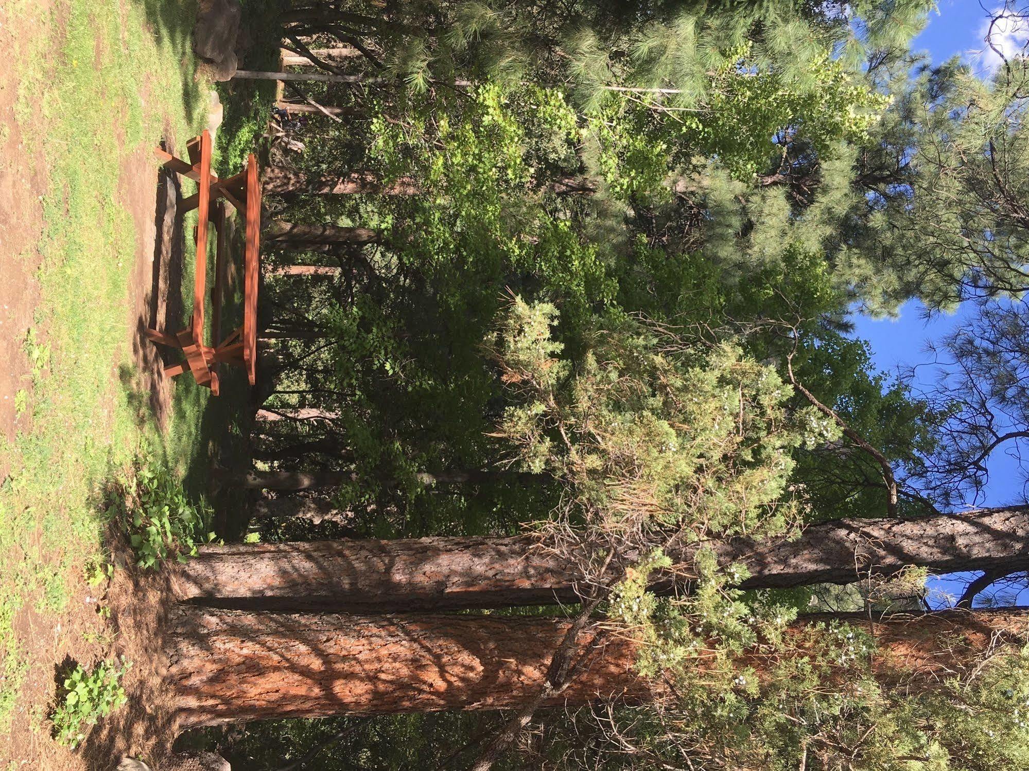 Junipine Resort Sedona Exterior foto